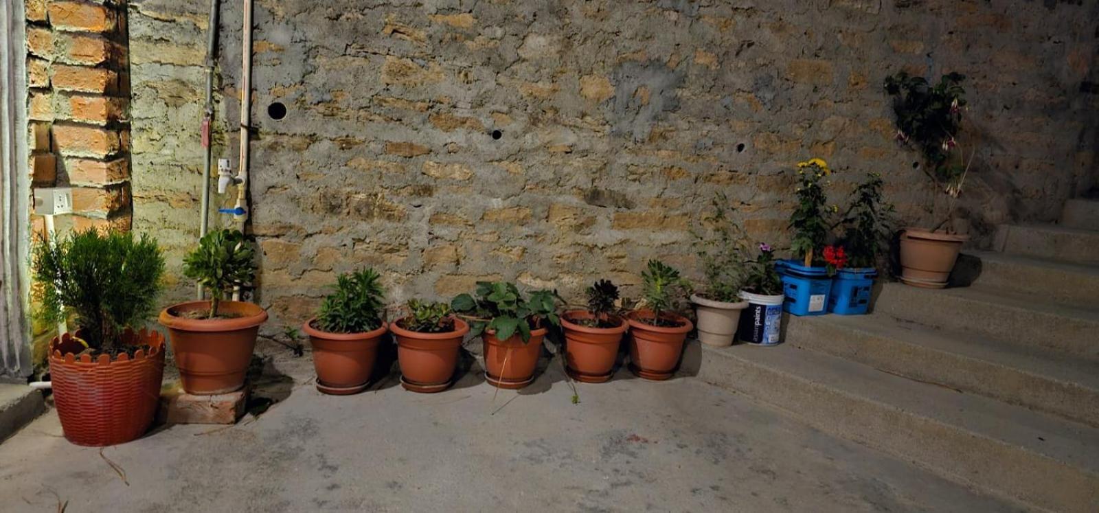 Golden Himalaya Homestay Kausani Dış mekan fotoğraf